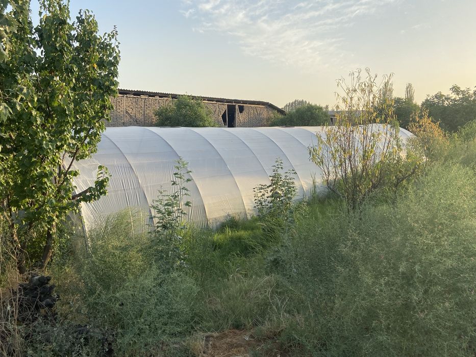 Парник гаранти 5