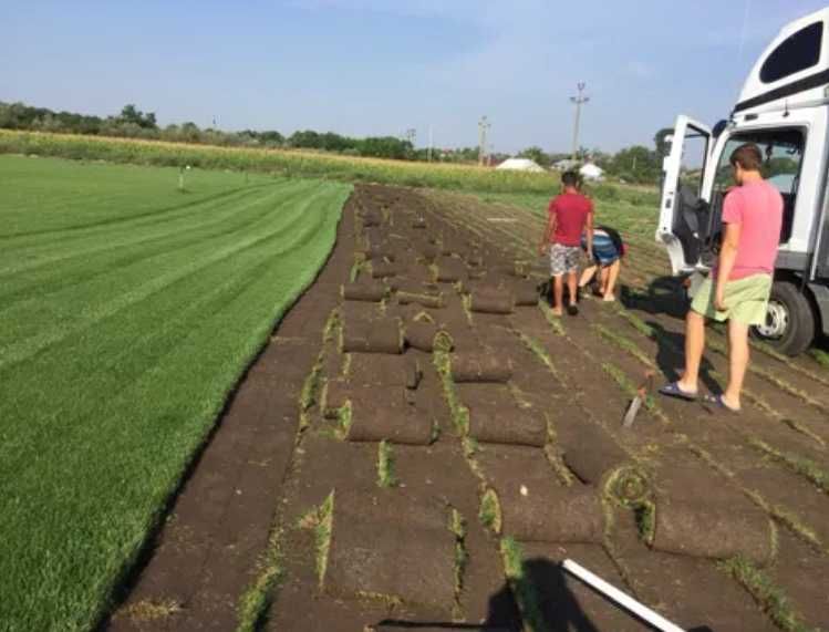 Gazon rulou Sisteme de Irigare si Insamantare