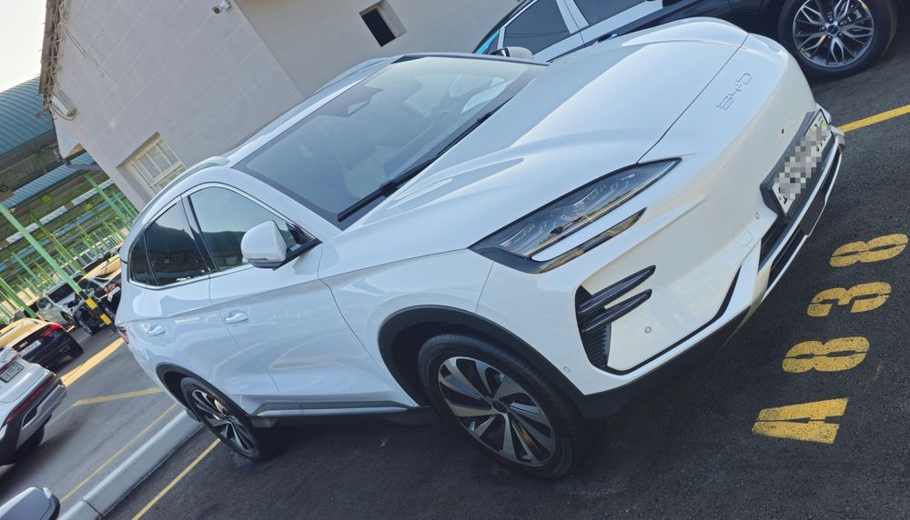 BYD чимпион сотилади