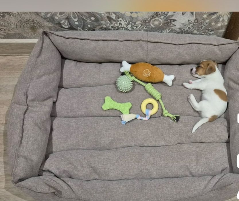 Новая лежанка для животных