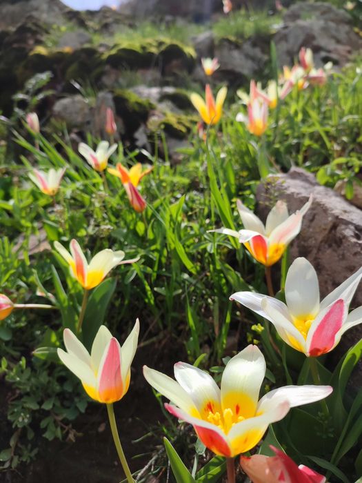 Походы индивидуальные и рыболовные туры по горам Узбекистан