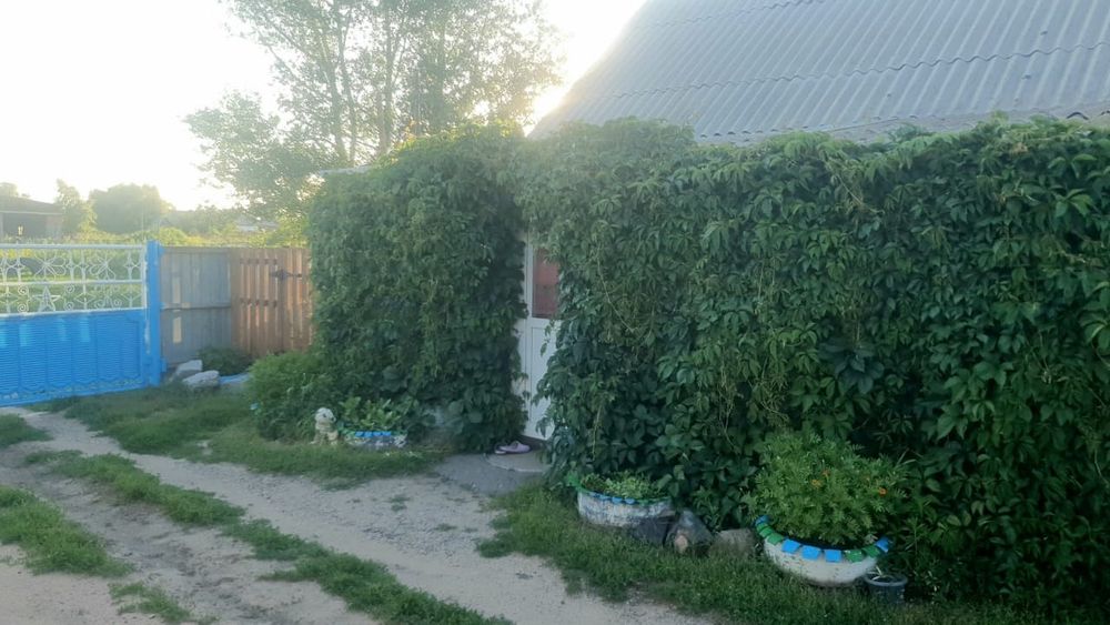 Продам дом в   селе  Урюпинка