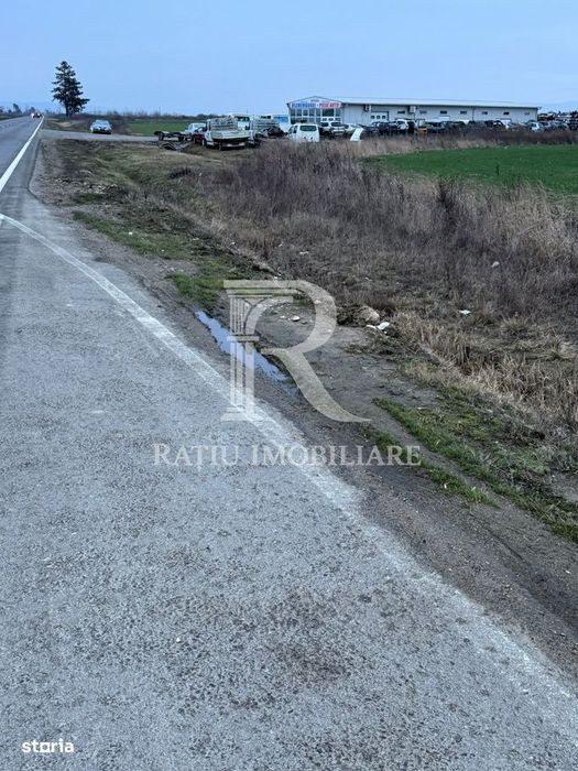 Teren de inchiriat | 20,088 ha | Sacadat | Bihor