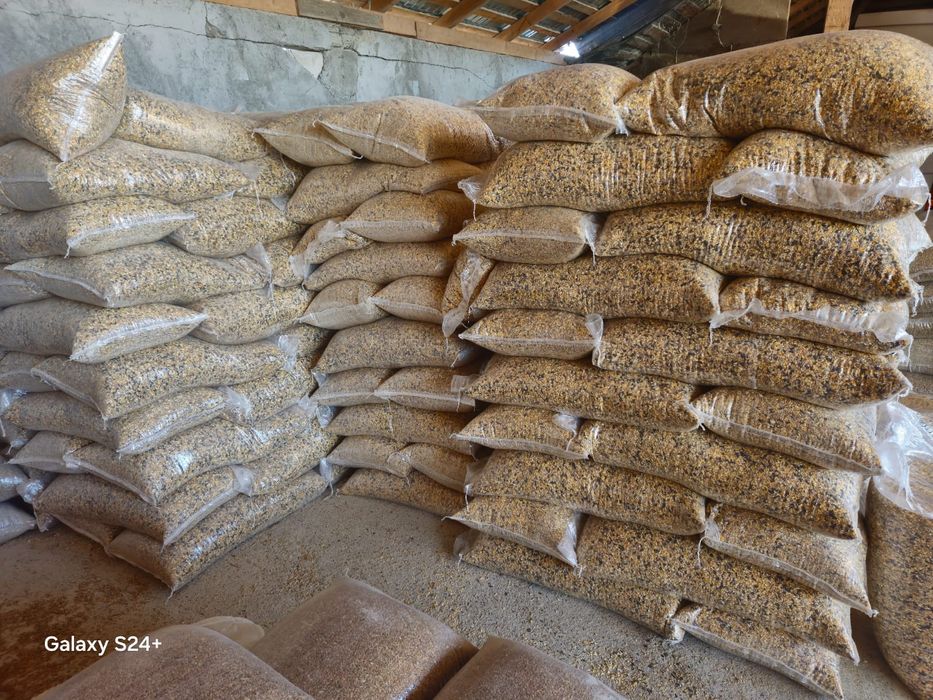 Saci Rafie Transparenți