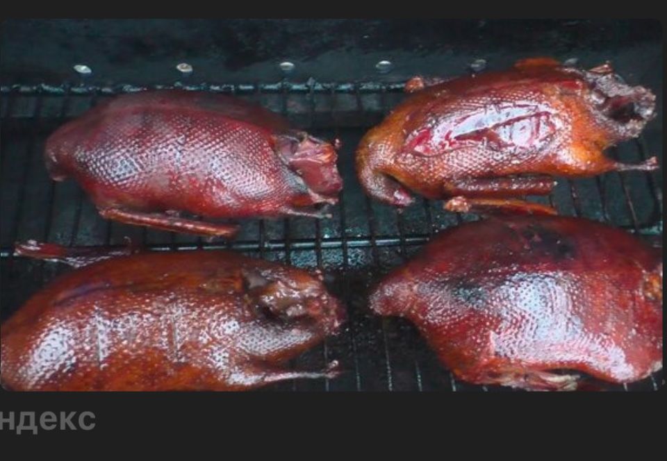 Дикий гусь горячего копчения