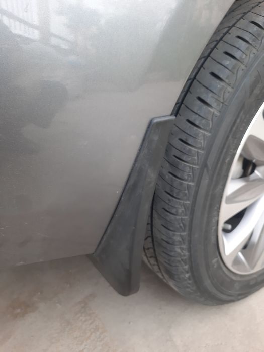 Брызговики на Монзу