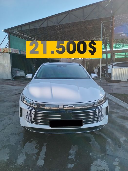 Byd Chazor Chempion 120