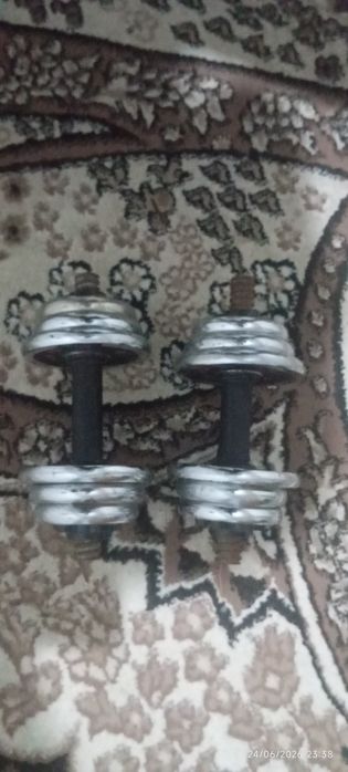 115ming soʻm 8 kg gantel arzon narda beraman