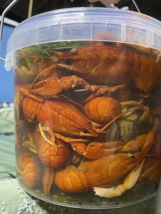 Раки - чистые, отборные!