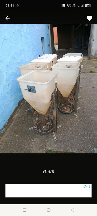 Hrănitoare porc și purceii, troacă porc