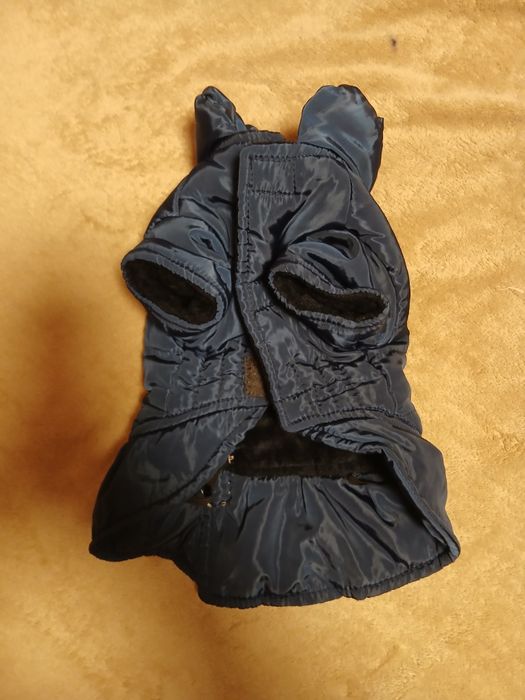 Дрешки за малко кученце