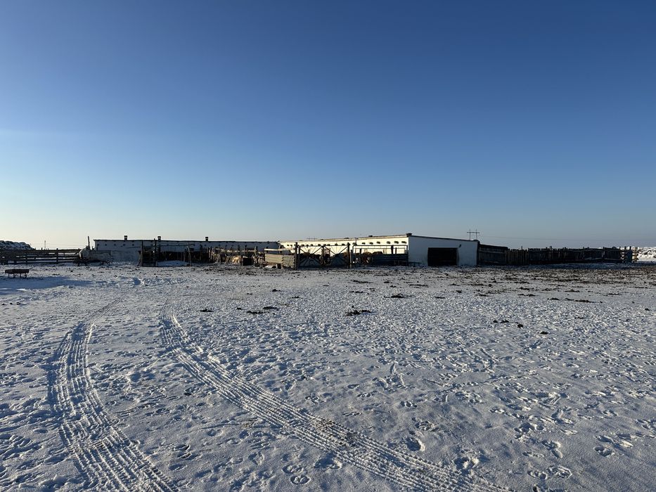 Продается крестьянское хозяйство