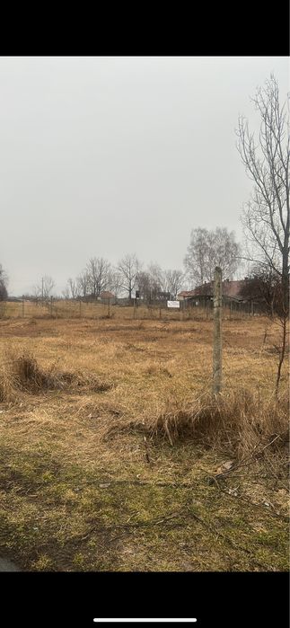 De vânzare: livadă de nuci, grādinā. 140 de pomi du nuc