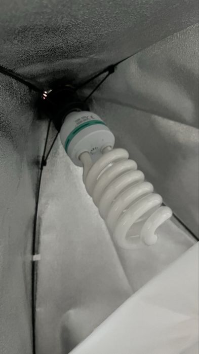 Lumini studio (becuri LED 100W si 50W)