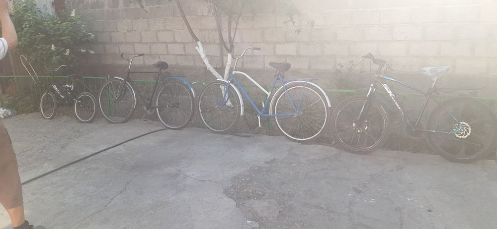 Велик советский на выбор