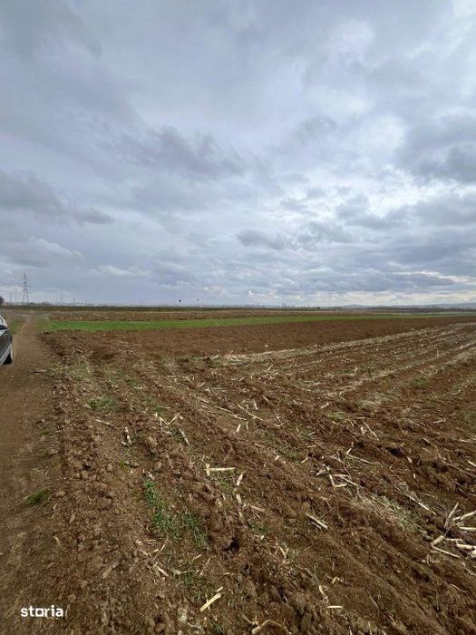 Teren extravilan 2500 mp,cu acces la Centura ,Radauti