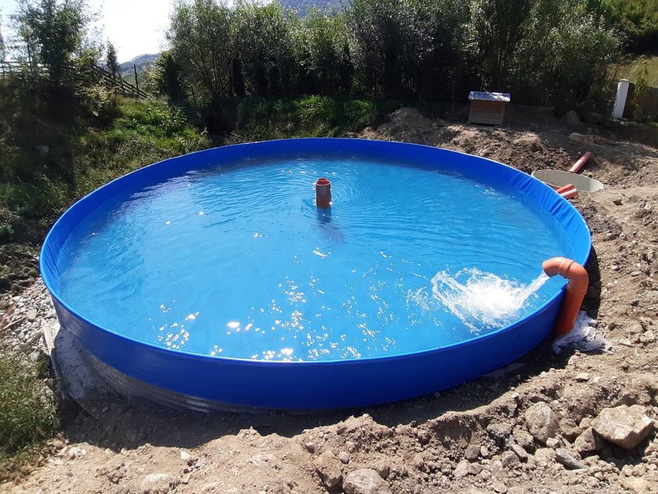 Puiet pastrav curcubeu