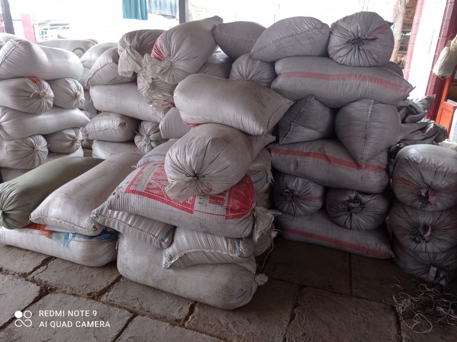 Семена Люцерна(Меркенский)