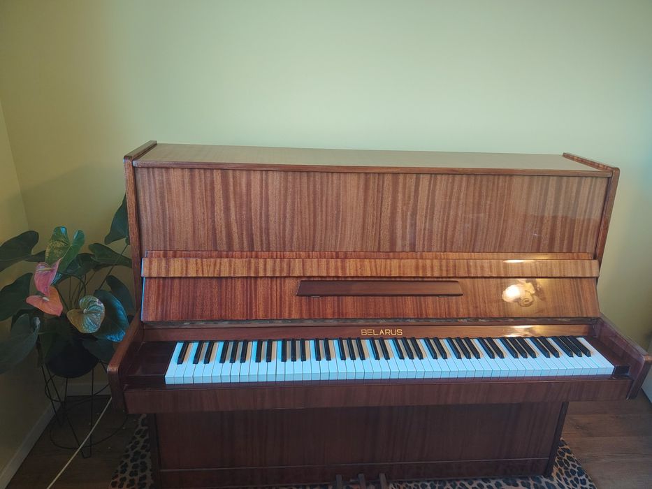 Vand Pianină Belarus
