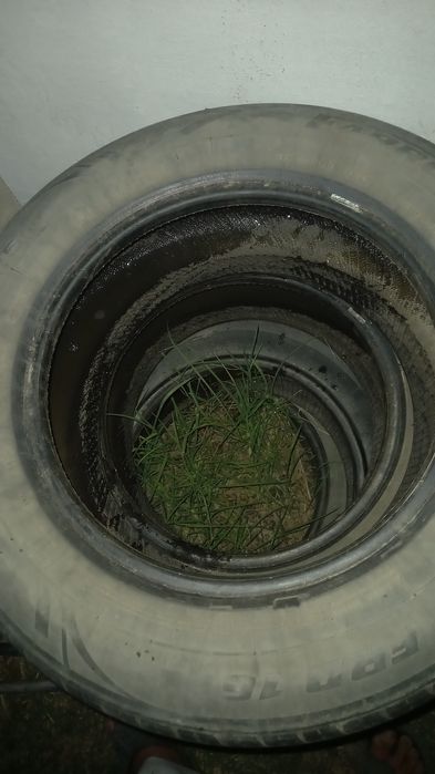 Донгелек сатылады