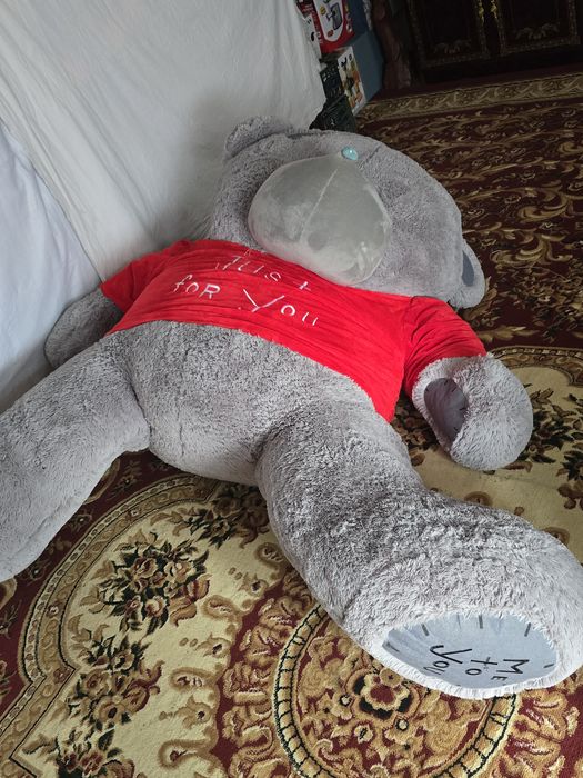 Teddy ayiq  arznon narxda