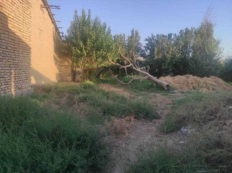 Дом в Бухаре 10 соток.