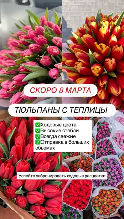 Тюльпаны + упаковка на 8-Марта
