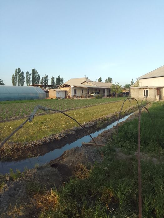 Уй сотилади дехкончилик ва чорва учун зор жой таййор бизнес
