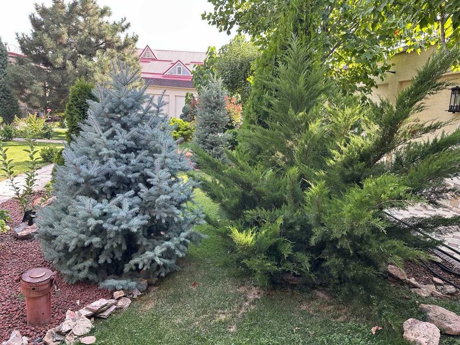 Продается капитальный Дом. элитная махалля Амира Тимура