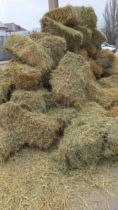 Сено, Клевер, Салома.