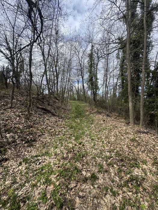 Къща до гората с. Дъбрава