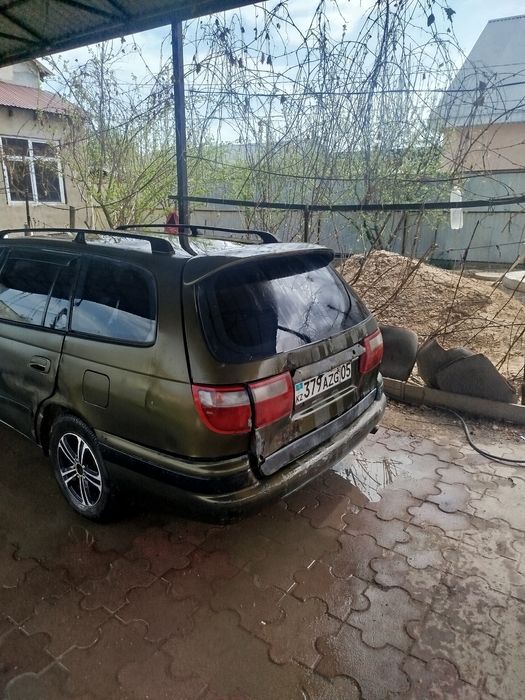 Таета карина е уневерсал