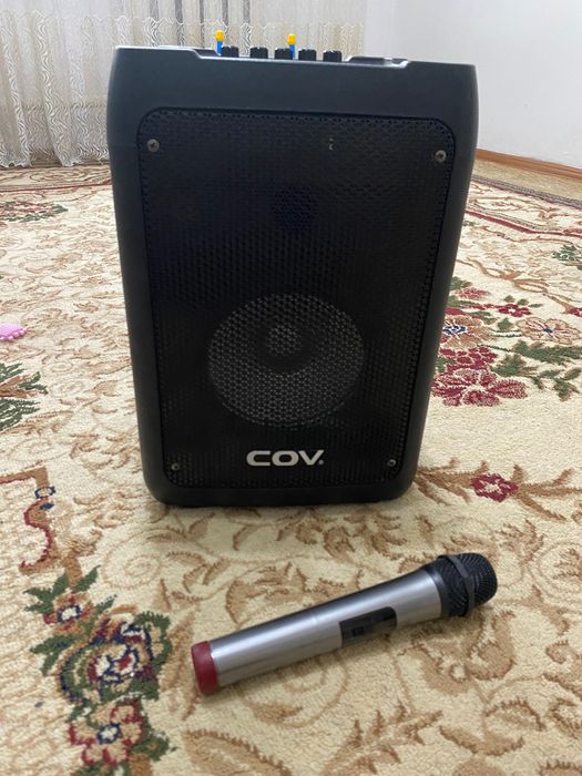 Музыкальный колонка COV CV- 203 с микрафонам