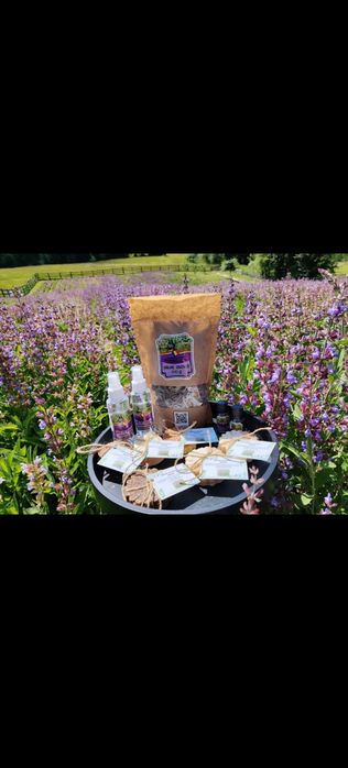 Ulei esențial de Salvie 100% Pur - Producător local
