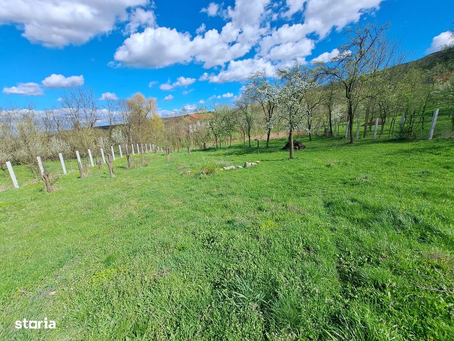 Teren de vânzare 3600mp, cu proiect si autorizatie- Berghin- Straja