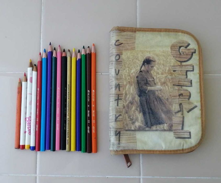 Химикалки ( сини и цветни ) и несесер с моливи