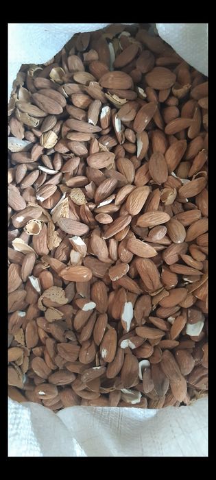 Сурови ядки - бадеми, орехи, лешници