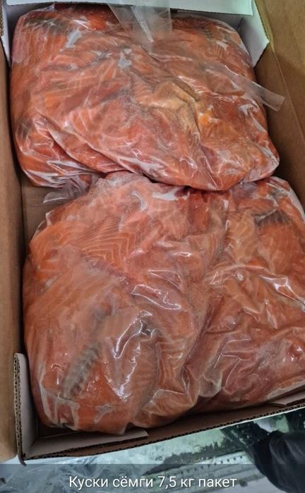 Рыба. Семга. красная рыба.