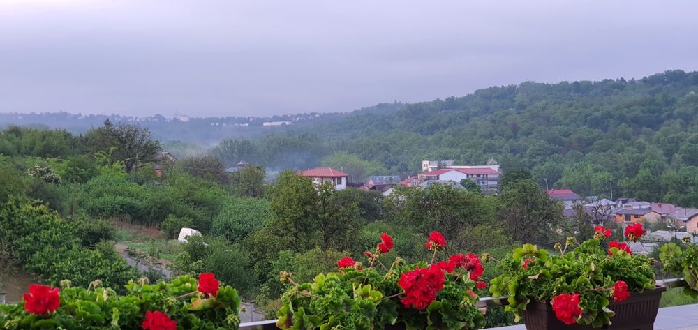 Apartament 6 camere cu vedere spre Grădina Botanică