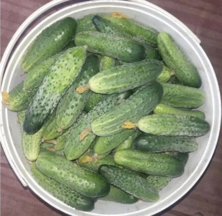 Продам огурцы домашние