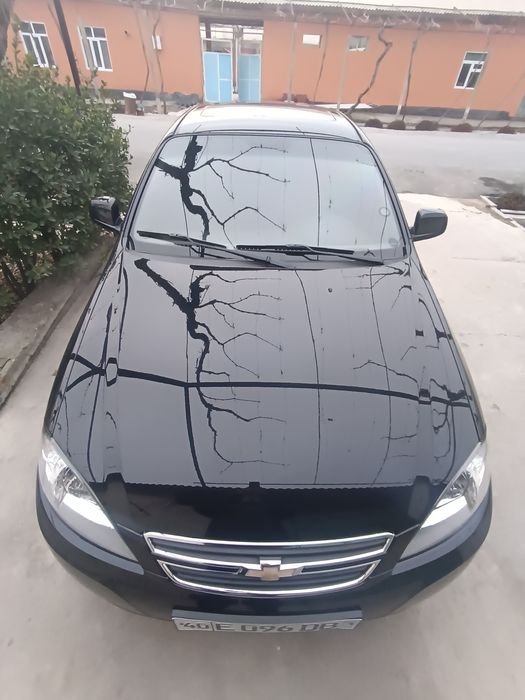 2023 toza stayl gen beriloradi