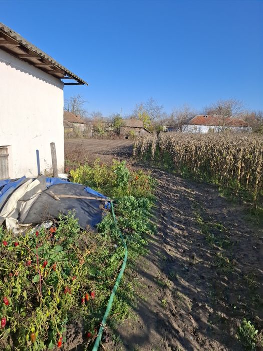 Vand casă in comuna Marsani dolj
