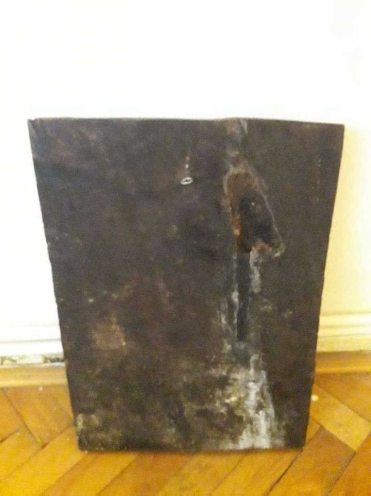 Tablou din cupru cu tenta delofin