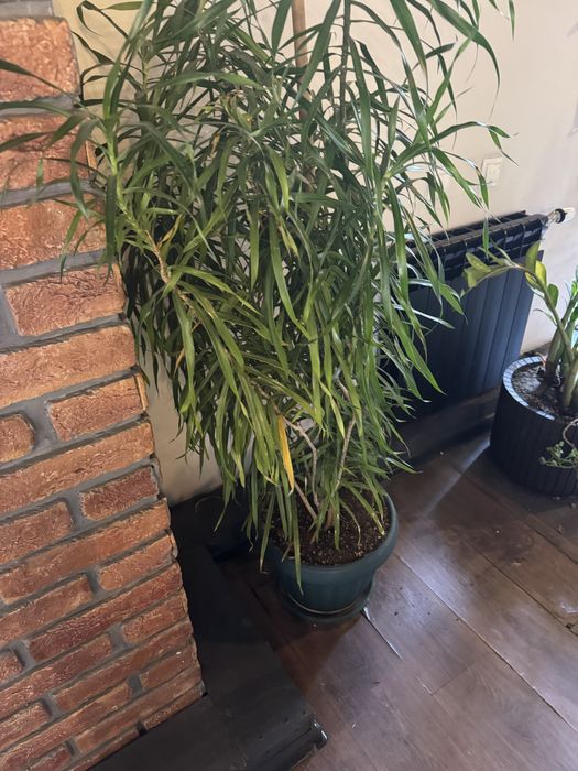 продам мебель для кафе и магазина