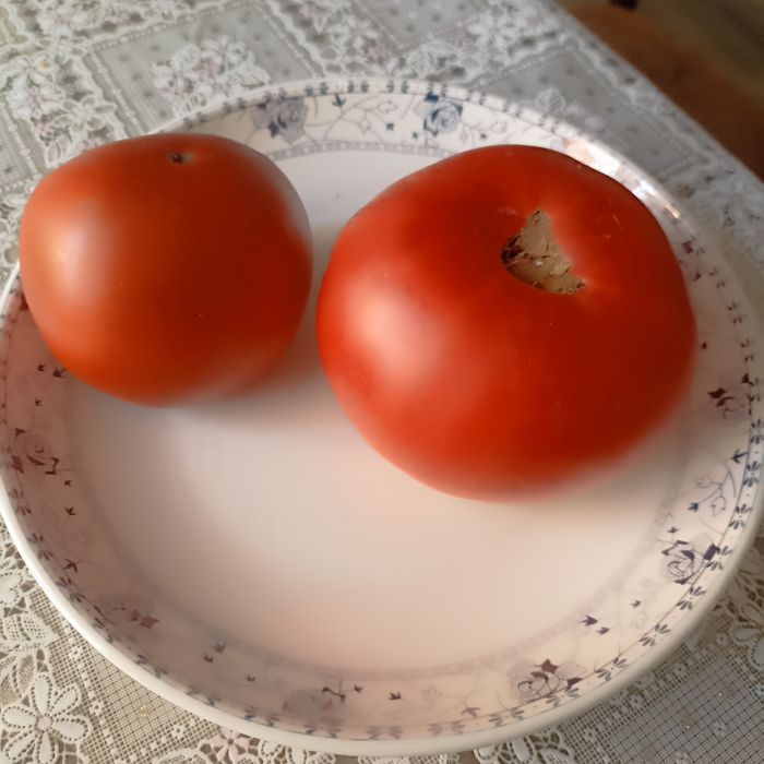 Продам домашние помидоры.