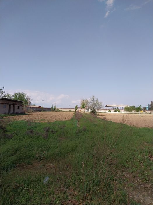 Комерческая помещение Ташкентская область чиназ 1,8 га.