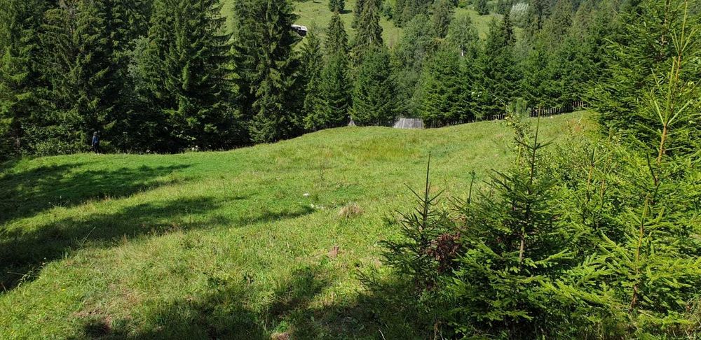 Vand teren intravilan  pe Paraul Morii, Campulung Moldovenesc