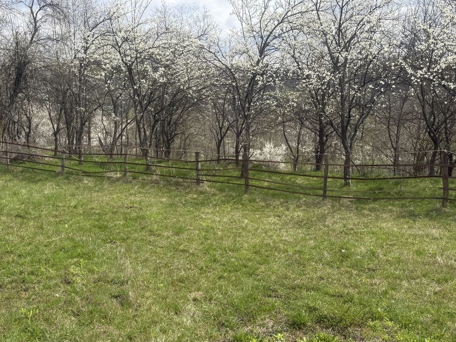 Vand casa batraneasca si teren