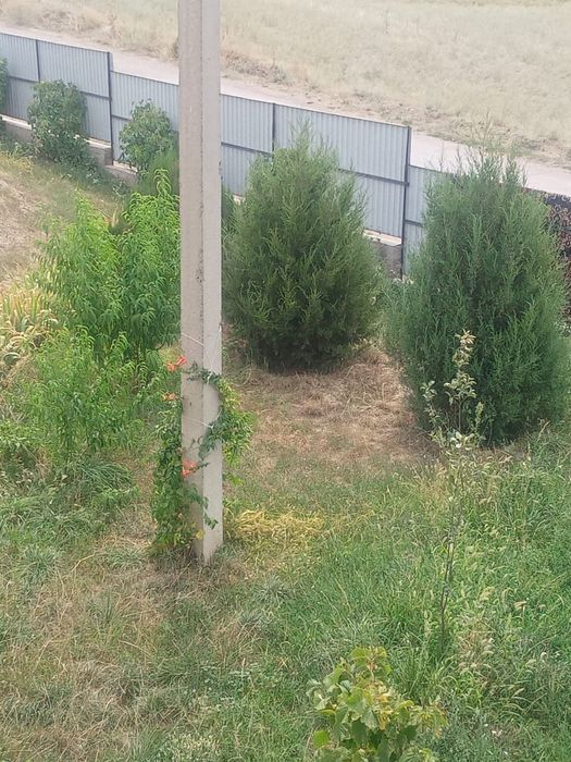 Срочно продам дом - дача