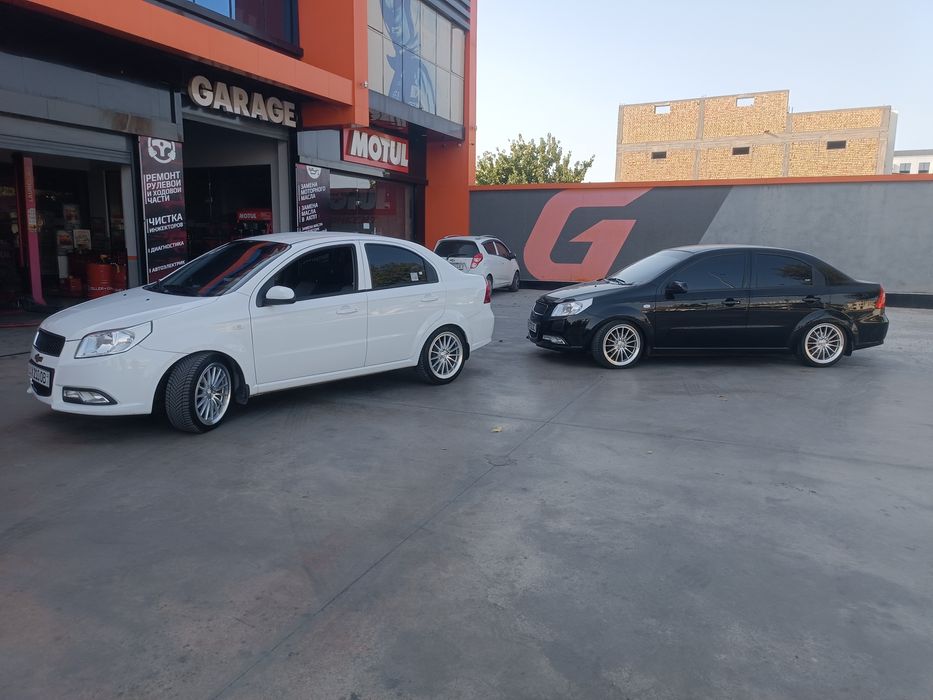 Vossen 17 yengi 205,45 17